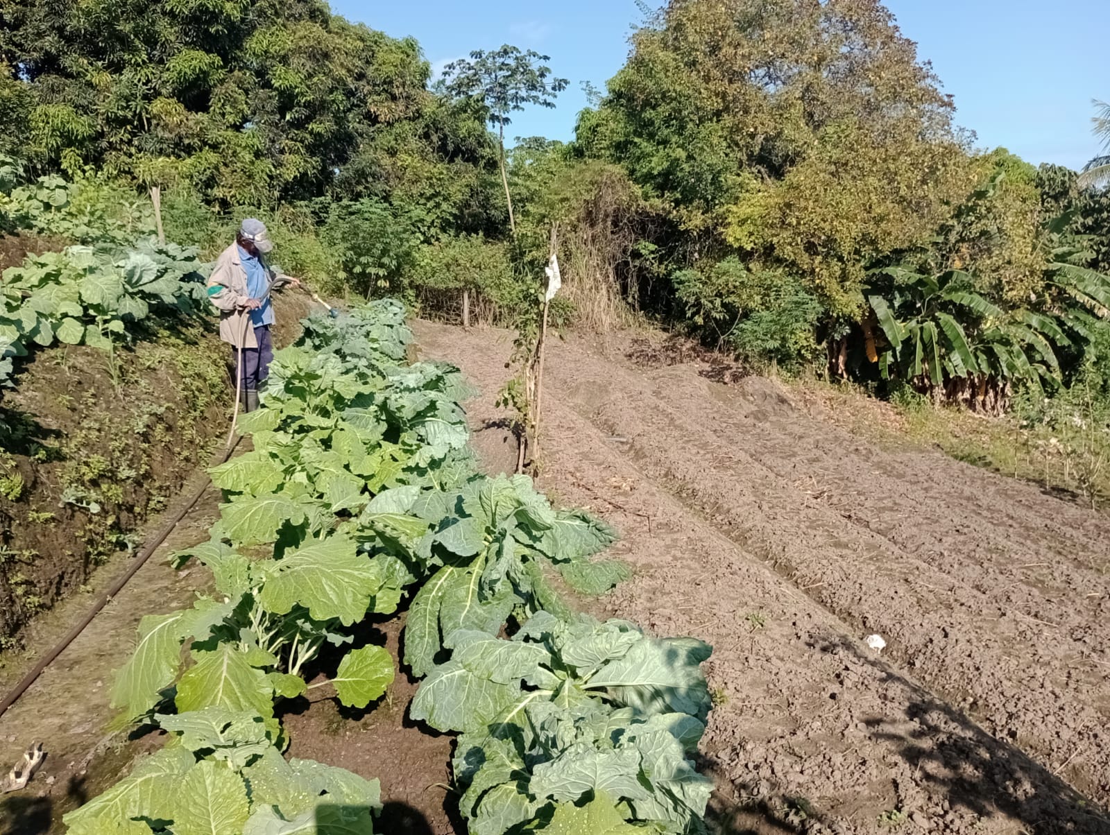 Extensionista em atividade de campo com produtores rurais